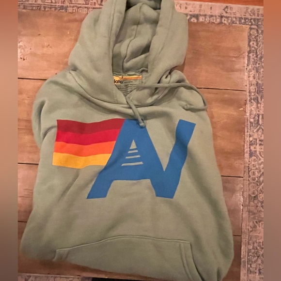 COPY - Aviator Nation relaxed logo pullover in sage - Picture 2 of 5